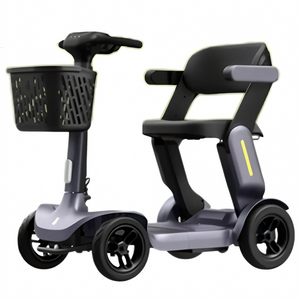 Foldable 4-Wheel Electric Mobility Scooter for Elderly, 250W 36V