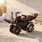Motor-Driven Standing Electric Wheelchair with Lifting Legrest