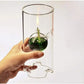Handcrafted Borosilicate Glass Oil Lamp with Cylindrical Hurricane Sleeve for Home Décor