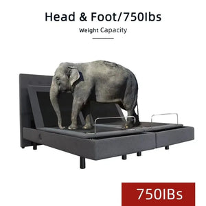 Zero Gravity Split King Electric Adjustable Bed Base Smart Bed Frame with Wireless Remote Control Heavy Duty Metal Structure