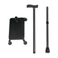 Adjustable Stair-Climbing Assist Cane with Half-Step Platform – Quad Base Walking Aid for Seniors