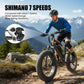 Hopepeak F10 Fat Tire Electric Bike for Adults – 1200W Peak Motor, 48V Battery, 20" × 4" Tires, 7-Speed
