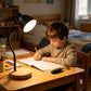 LED Desk Lamp, CRI 90+, Dimmable 3000–6000K, Flexible Gooseneck, Black Metal Shade, Wooden Base, USB Powered