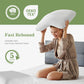 2-Pack Standard Size Memory Foam Neck Pillows with Ventilated Cooling Design & Removable Washable Covers