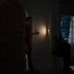Plug-In Motion Sensor LED Night Light, Dimmable Warm White, for Hallways and Stairs