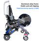 Intelligent Electric Standing Wheelchair and Rehabilitation Walking Robot