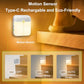 Rechargeable Motion Sensor LED Night Light, Warm White, Portable Mini Wall Light
