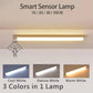 LED Motion Sensor Light Wireless USB  Rechargeable Night Light Portable Induction Lamp for Cabinet Wardrobe Staircase