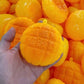 Slow-Rising Animal Squishy Mystery Blind Box, Sensory Squeeze Fidget Toy