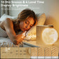 Moon Lamp Sunrise Alarm Clock with White Noise, Dual Alarms, 10 RGB Light Modes, Sleep Timer, Wood Grain Finish