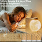 Sunrise Alarm Clock for Heavy Sleepers with Moon Night Light, 10 Light Effects, 30/60/90-Minute Timer for Bedroom