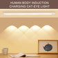 USB Rechargeable LED Under Cabinet Light with Motion Sensor, Dimmable Wireless Light for Kitchen, Closet, Cabinet & Bedroom