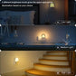 Plug-In Motion Sensor LED Night Light, Dimmable Warm White, Dusk-to-Dawn Sensor