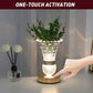 Crystal Vase LED Table Lamp with Touch Switch and Built-In Battery, Warm Glow Bedside Accent Light