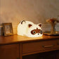 Rechargeable Silicone Raccoon Night Light, 1200mAh Battery, Touch Control, 3 Brightness Levels