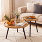 Round Nesting Coffee Table Set of 2, Wood & Metal Accent Side Tables for Living Room