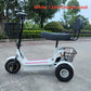 800W Foldable 3-Wheel 2-Seater Electric Mobility Scooter with Dual Baskets
