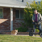 Foldable Electric Scooter for Adults with Pet Basket, 3 Riding Modes, Up to 20-Mile Range, 18.6 MPH